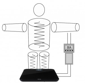 Bioelektrische Impedanzanalyse